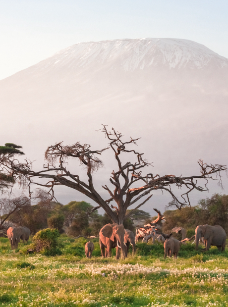 Kenya