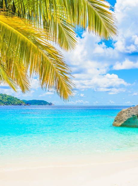 加勒比地区（20 + 区域）